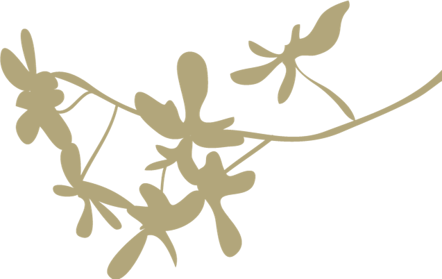 //statics.xiumi.us/stc/images/templates-assets/tpl-paper/image/2016-9-6-2-2.png